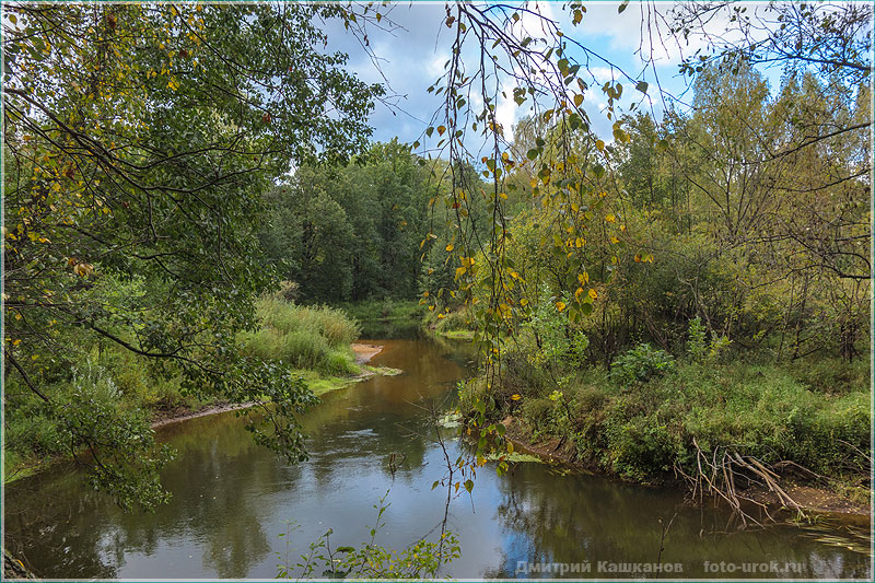 Фото лесной речки. Суворощь. Фото осеннего леса